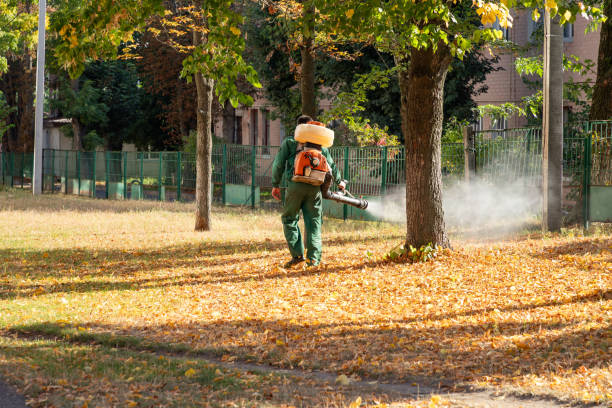 Best Bird Control  in Tyrone, PA