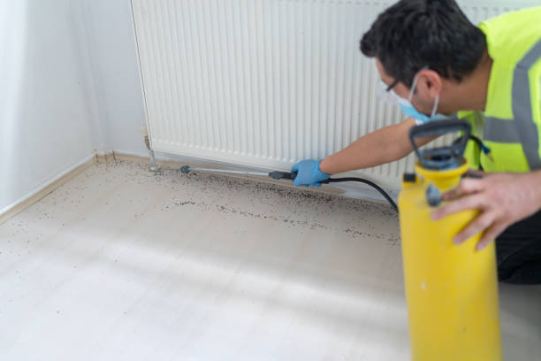 Best Ant Control Services  in Tyrone, PA